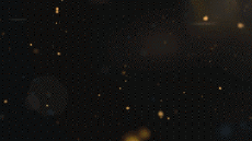 Messages French Bonnes Fêtes (Noël) Video 