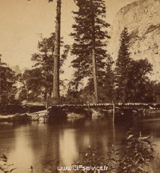 Umorismo -  Fun Effetti 3d Stéreoscopique Wiggle 