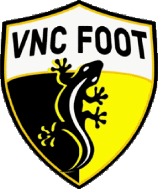 Deportes Fútbol Clubes Francia Centre-Val de Loire 41 - Loir et Cher Vernou Neung Courmemin 