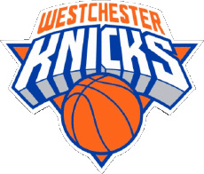 Sport Basketball U.S.A - N B A Gatorade Westchester Knicks 