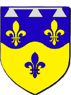 Bandiere Francia Dipartimenti - Città 41 Loir et Cher 