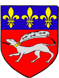 Blason-Drapeaux France Départements - Villes 56 AURAY Blason