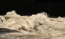 Humor -  Fun Sports Canoe Kayak Fun - Win 