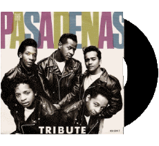 Multi Media Music 80' International Compilation T The Pasadenas 