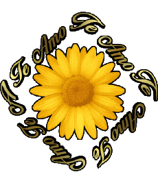 Messages Spanish Te Amo 02 