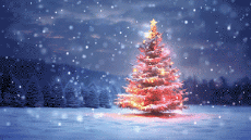 Messages Anglais Season's Greetings Video 