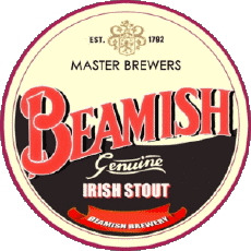 Getränke Bier Irland Beamish 