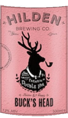 Bevande Birre Irlanda Hilden 