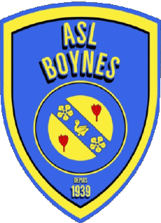 Sports Soccer Club France Centre-Val de Loire 45 - Loiret ASL Boynes 
