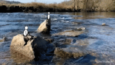 Humor -  Fun GIF Künstler @Eclectech 