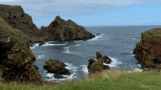 Humor -  Fun GIF Artists @Eclectech 