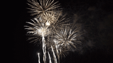 Messages German Frohes Neues Jahr 2026 Video 