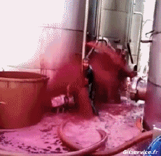 Humor -  Fun MENSCHEN Auf Arbeit Idiot  Fail Serie 02 