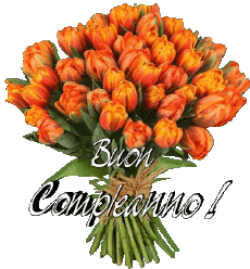 Messages Italian Buon Compleanno Floreale Transparent Background 012 