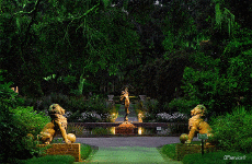 Humour - Fun 3D Effets Stéreoscopique Wiggle 