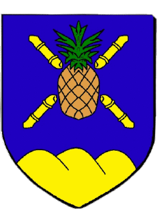 Wappen-Fahnen Frankreich Abteilungen - Städte 972 LE GROS MORNE 