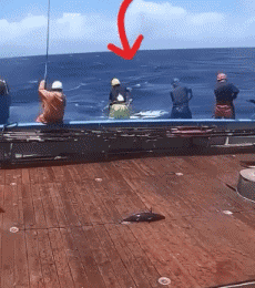 Humour - Fun PERSONNAGES Pêcheurs Gamelle - Fun Fail 