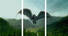 Harry Potter, Hippogriffes-Umorismo -  Fun Effetti 3d 3D - Linee - Bande Harry Potter, Hippogriffes
