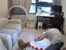 Humor -  Fun Tiere Katze 06 