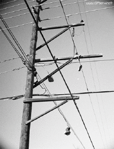 Humour - Fun 3D Effets Stéreoscopique Wiggle 