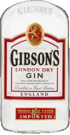 Bebidas Ginebra Gibson 