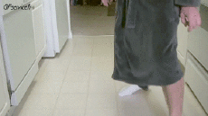 Humour - Fun Animaux Chats Serie 05 