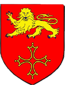 Bandiere Francia Dipartimenti - Città 82 Tarn et Garonne 