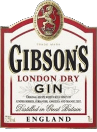 Bevande Gin Gibson 