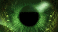 Multi Média Chaines -  TV France Ushuaïa TV Jingle Pub 