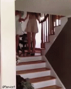 Humour - Fun PERSONNAGES Dans l escalier Gamelles Fail Serie 01 