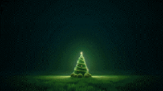 Nachrichten Spanisch Feliz Navidad Video 