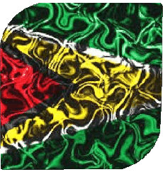 Flags America Guyana Square 