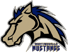 Deportes Béisbol U.S.A - CPL - Coastal Plain League Martinsville Mustangs 