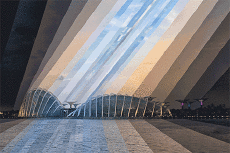 Humor - Fun GIF Artista Qi-Wei-Fong 