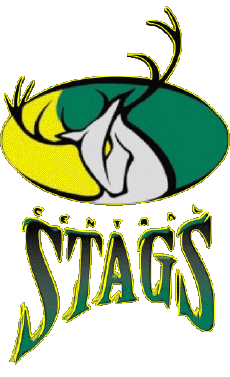 Sports Cricket New Zealand Central Stags 