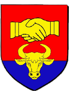 Bandiere Francia Dipartimenti - Città 32 GIMONT 