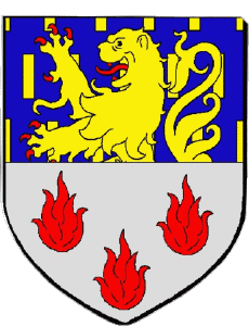 Banderas Francia Departamentos - Ciudades 70 GRAY 