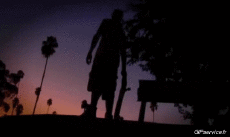 Umorismo -  Fun Sportivo Skateboard Free Style Fun - Win 02 