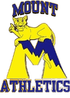 Sport N C A A - D1 (National Collegiate Athletic Association) M Mount St. Marys Mountaineers 