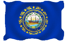 Bandiere America U.S.A - Stati New Hampshire Sventola 