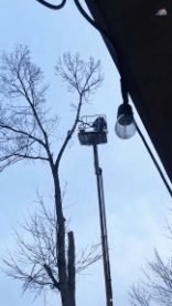 Umorismo -  Fun PERSONE Boscaiolo - Legname ! Fail 