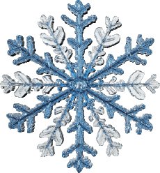 Messagi Francese Bonnes Fêtes (Noël) Serie 18 