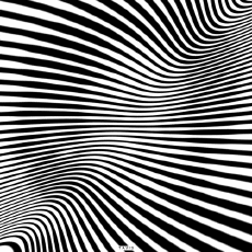 Humor -  Fun GIF Artists Bill Tavis 