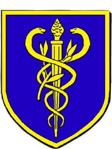 Blason-Drapeaux France Départements - Villes 972 SAINT PIERRE 