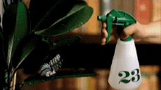 Multimedia Canali - TV Francia Numéro 23 Jingle Pub 