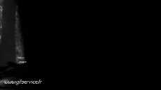 Humour - Fun Animaux Renards Serie 01 