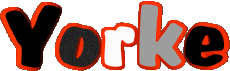 Prénoms MASCULIN - UK - USA Y Yorke 