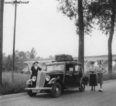 Umorismo -  Fun Effetti 3d Stéreoscopique Wiggle 