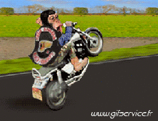 Umorismo -  Fun Animali Scimmie 01 