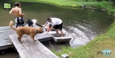 Humor -  Fun Transport Boats Accident Fail 